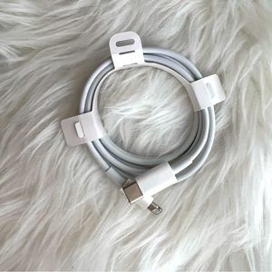 Apple ISN-C to Lightning Cable